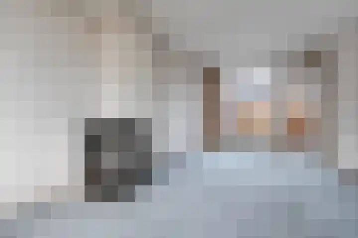 Rheezerweg 8 Hardenberg thumbnail 10