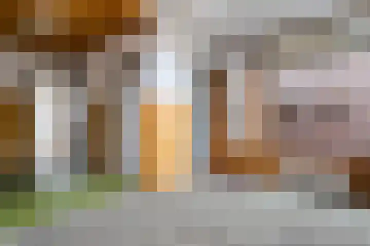 Rheezerweg 8 Hardenberg thumbnail 15
