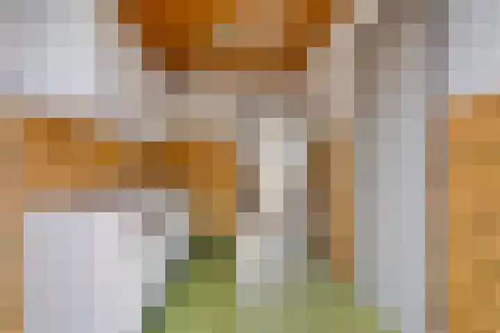 Rheezerweg 8 Hardenberg thumbnail 16