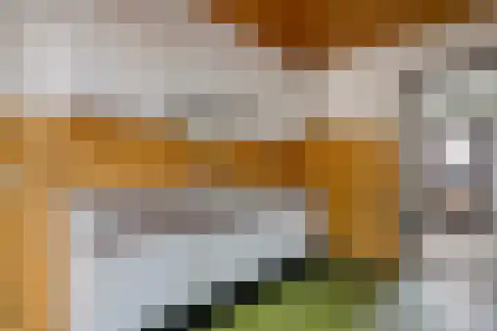 Rheezerweg 8 Hardenberg thumbnail 17