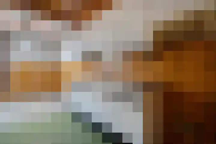 Rheezerweg 8 Hardenberg thumbnail 18