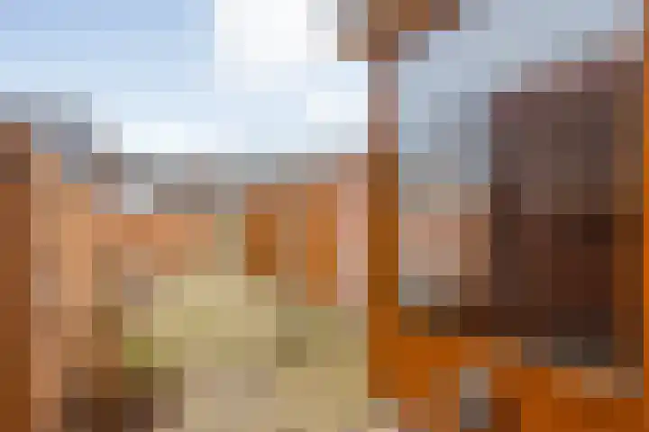 Rheezerweg 8 Hardenberg thumbnail 28