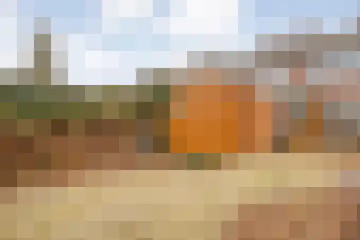 Rheezerweg 8 Hardenberg thumbnail 31