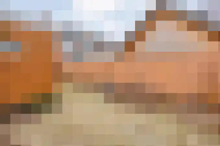 Rheezerweg 8 Hardenberg thumbnail 32