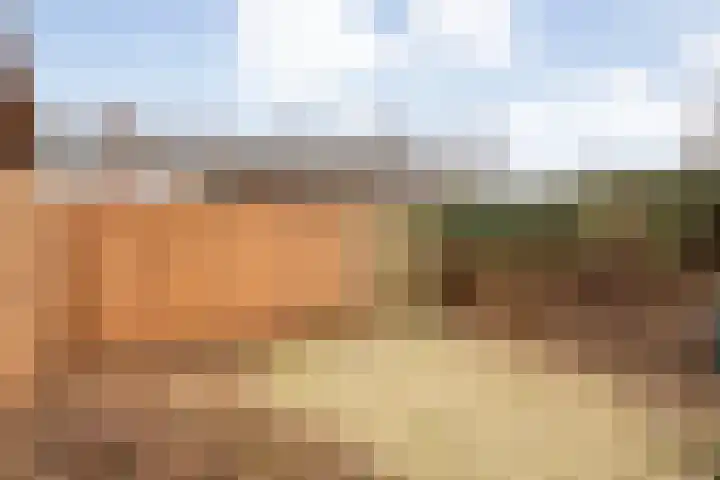 Rheezerweg 8 Hardenberg thumbnail 34