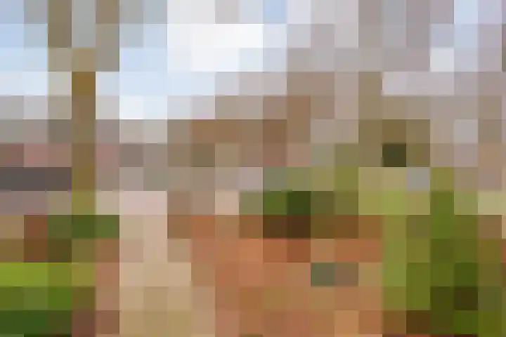 Rheezerweg 8 Hardenberg thumbnail 6