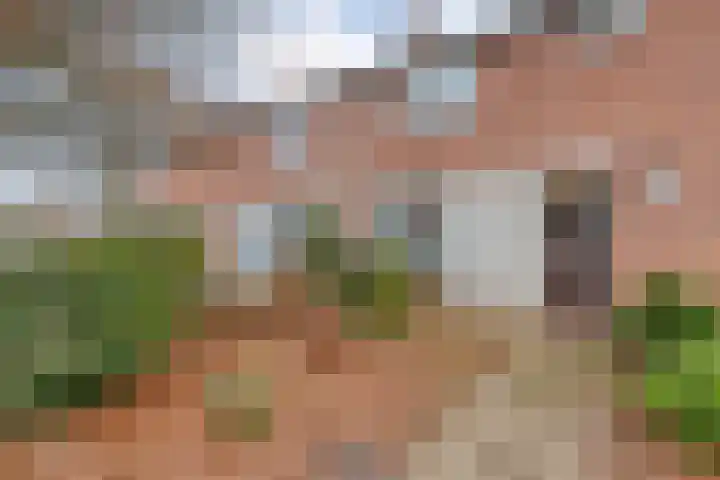 Rheezerweg 8 Hardenberg thumbnail 7