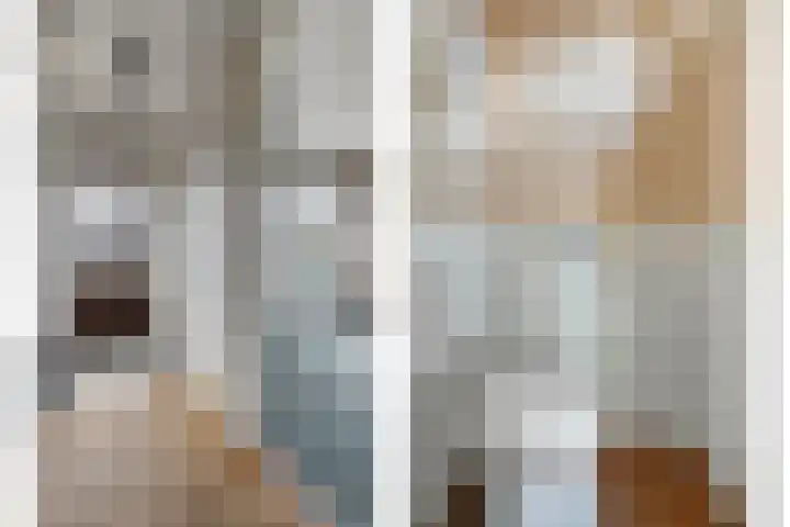 Rheezerweg 8 Hardenberg thumbnail 8