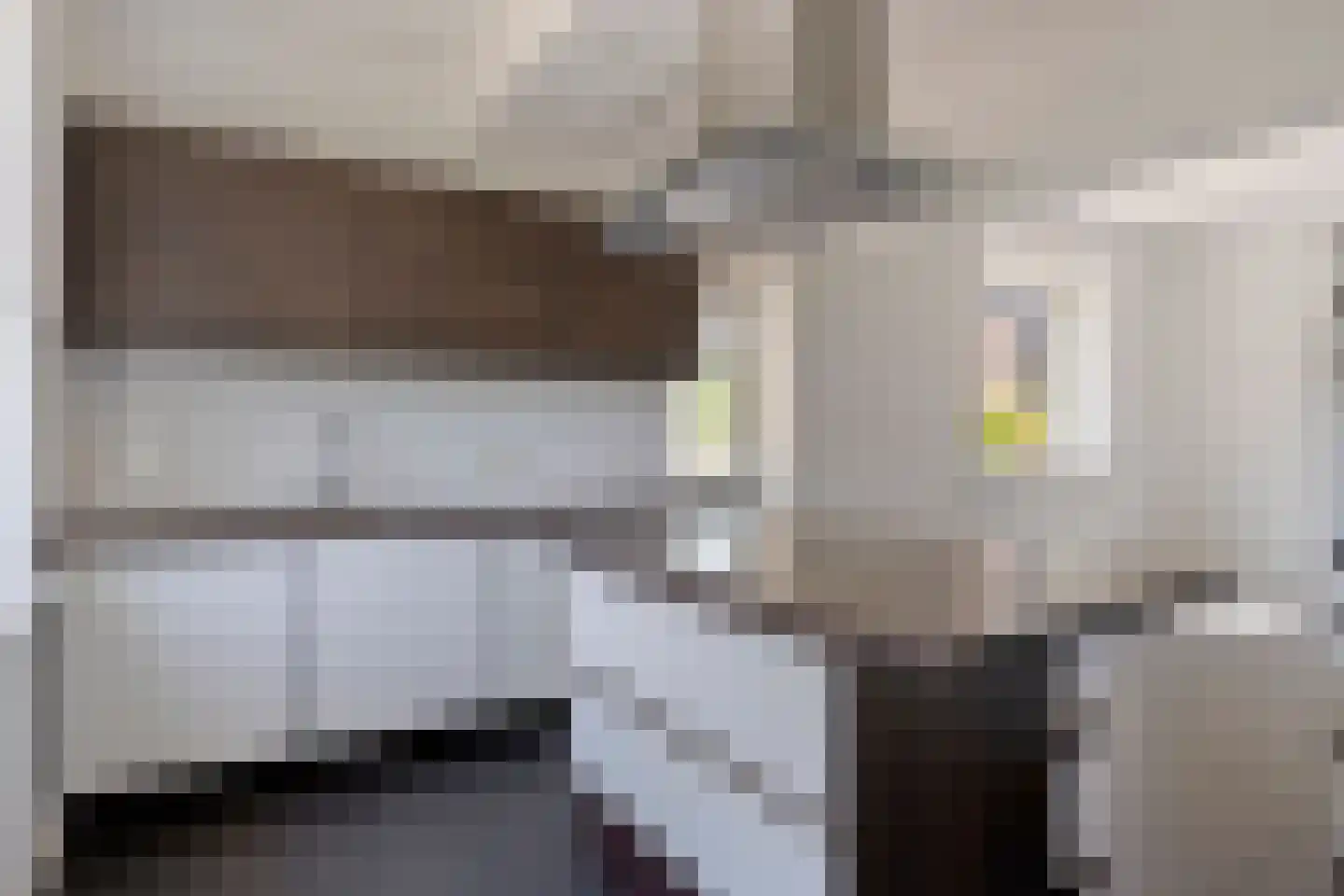 Rheiner Straße 12 Bad Nieuweschans thumbnail 15