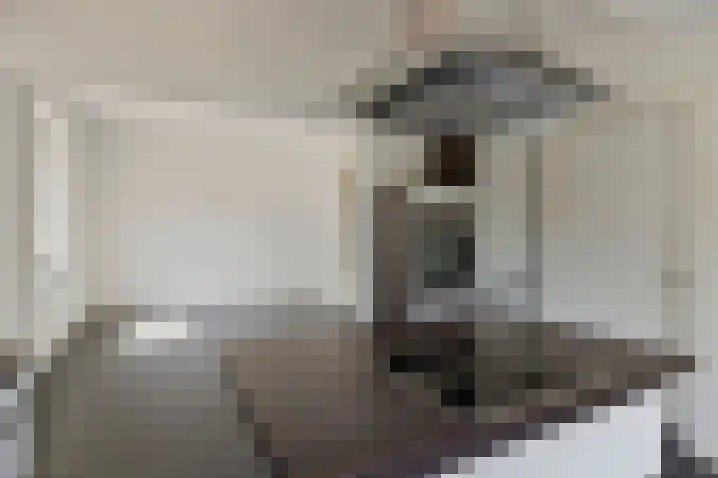 Rheiner Straße 12 Bad Nieuweschans thumbnail 16