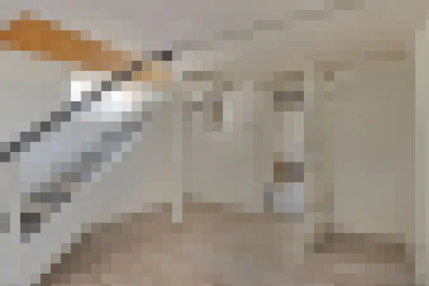 Rheiner Straße 12 Bad Nieuweschans thumbnail 30