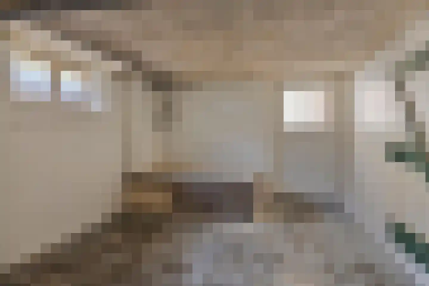 Rheiner Straße 12 Bad Nieuweschans thumbnail 32