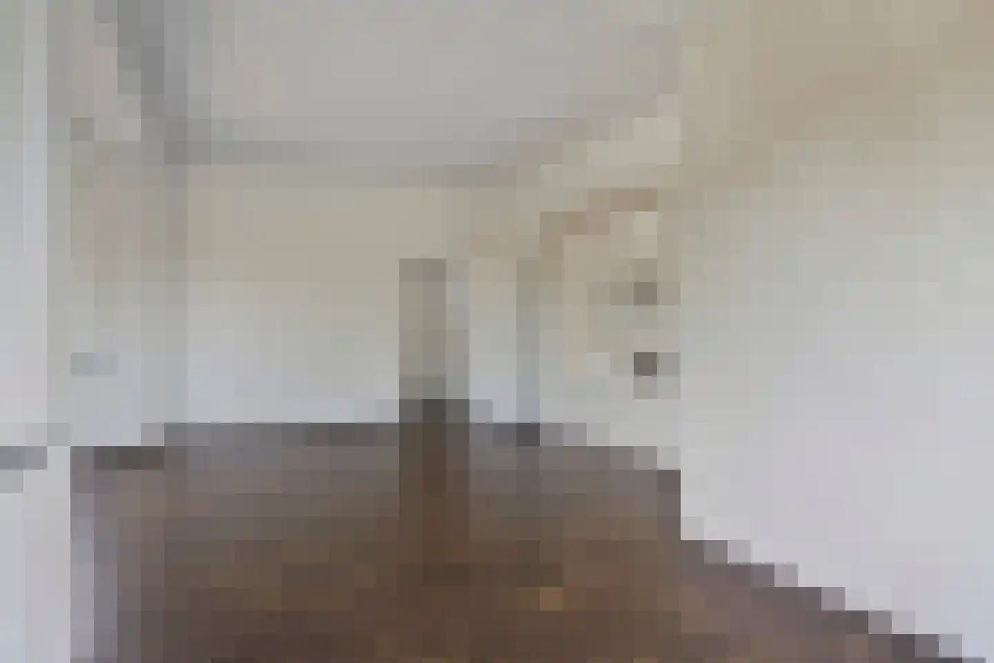 Rheiner Straße 12 Bad Nieuweschans thumbnail 6