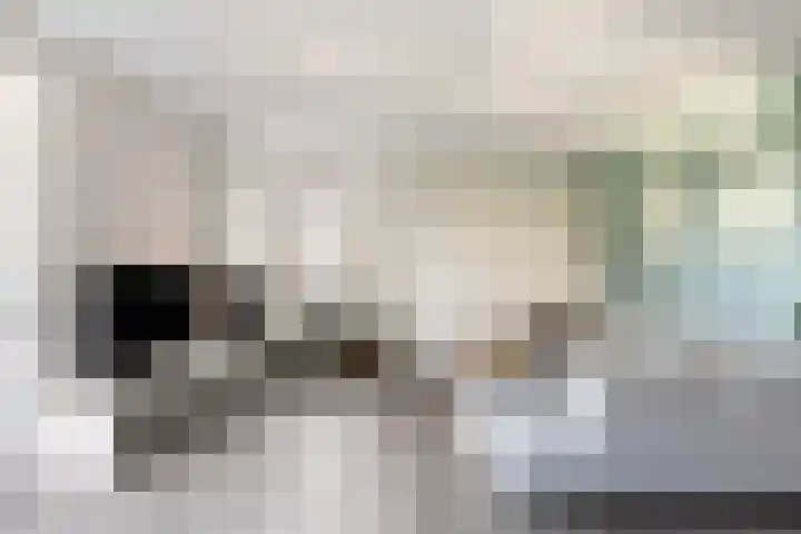 Rhemenshuizenstraat 7 Zwolle thumbnail 10
