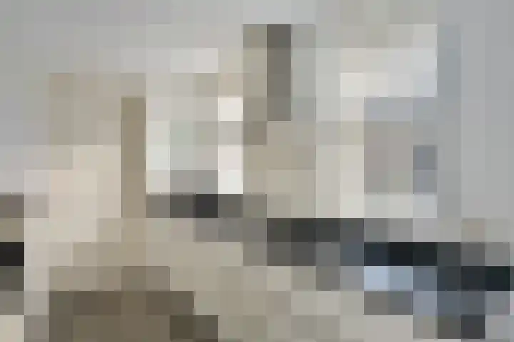 Rhemenshuizenstraat 7 Zwolle thumbnail 15