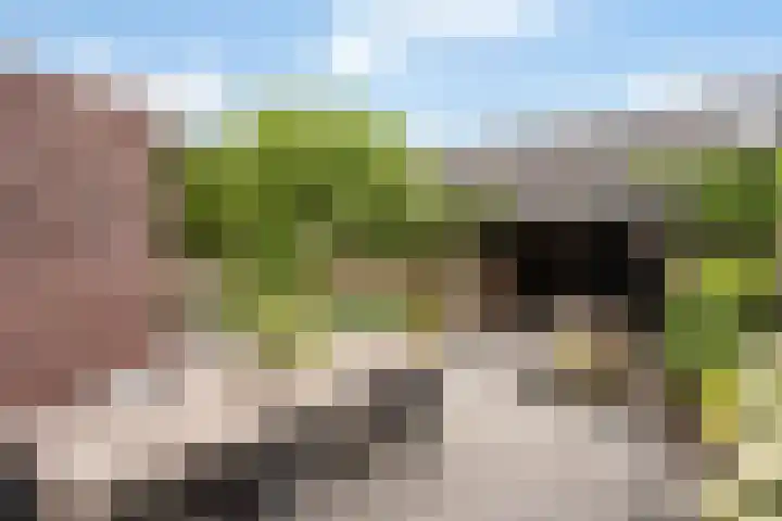 Rhemenshuizenstraat 7 Zwolle thumbnail 17