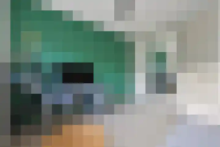 Rhemenshuizenstraat 7 Zwolle thumbnail 24