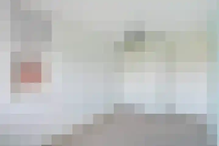 Rhemenshuizenstraat 7 Zwolle thumbnail 27