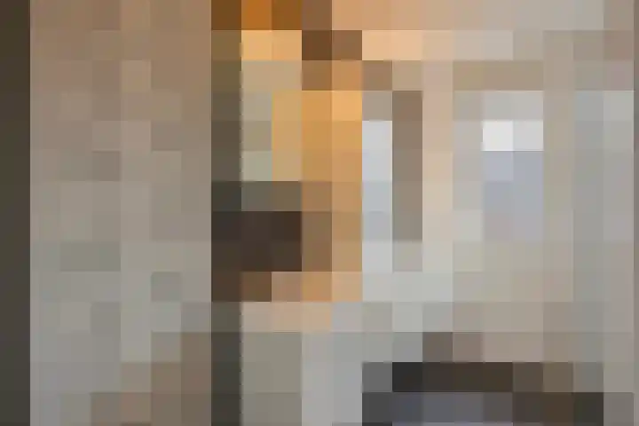 Rhemenshuizenstraat 7 Zwolle thumbnail 28