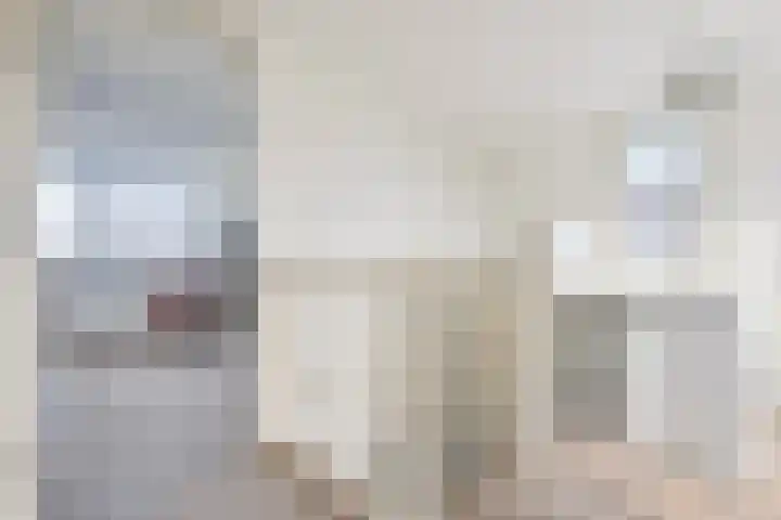 Rhemenshuizenstraat 7 Zwolle thumbnail 30
