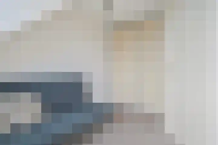 Rhemenshuizenstraat 7 Zwolle thumbnail 33