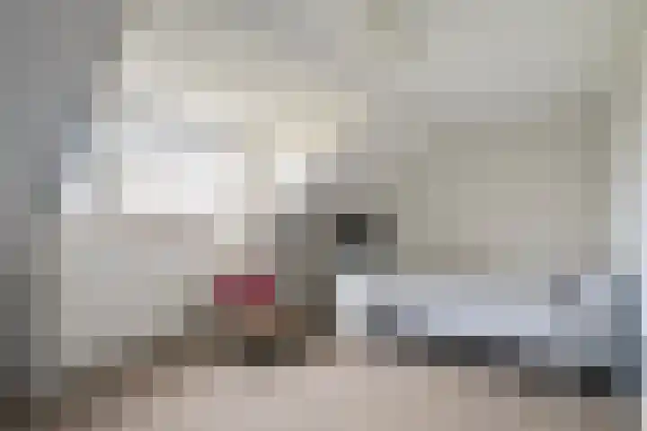 Rhemenshuizenstraat 7 Zwolle thumbnail 34