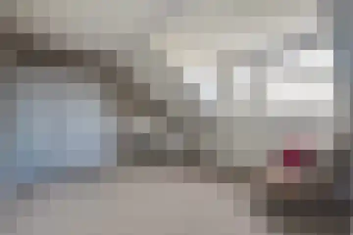 Rhemenshuizenstraat 7 Zwolle thumbnail 35