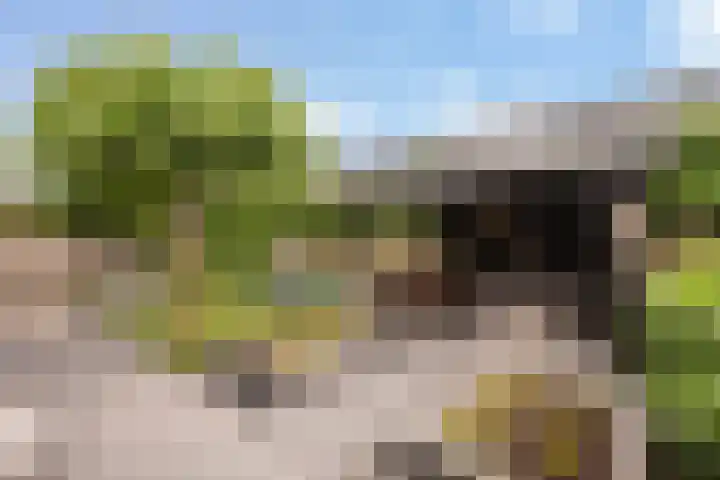 Rhemenshuizenstraat 7 Zwolle thumbnail 37