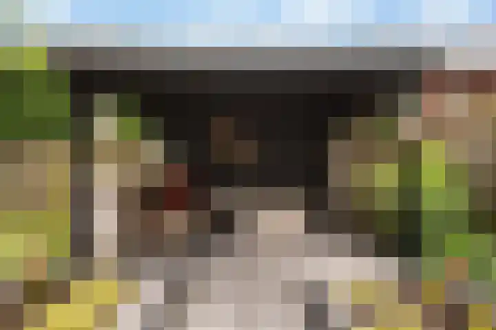Rhemenshuizenstraat 7 Zwolle thumbnail 38