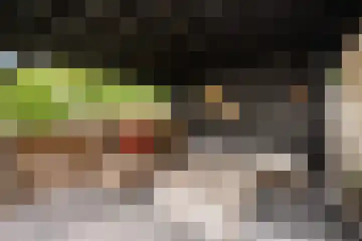Rhemenshuizenstraat 7 Zwolle thumbnail 39