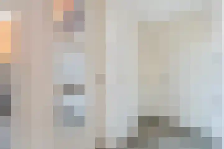 Rhemenshuizenstraat 7 Zwolle thumbnail 5