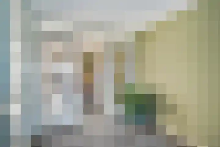 Rhemenshuizenstraat 7 Zwolle thumbnail 6