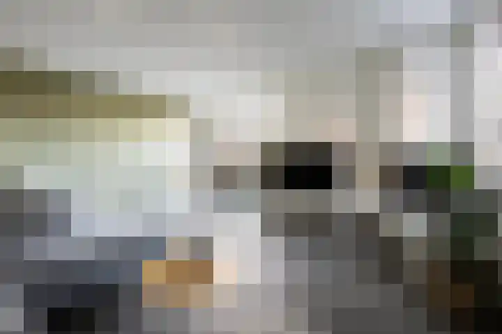 Rhemenshuizenstraat 7 Zwolle thumbnail 8
