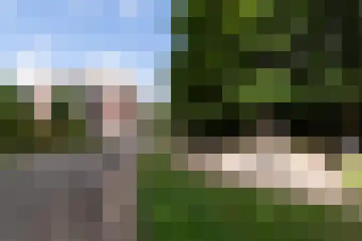 Rhenendael 127 Rhenen thumbnail 23