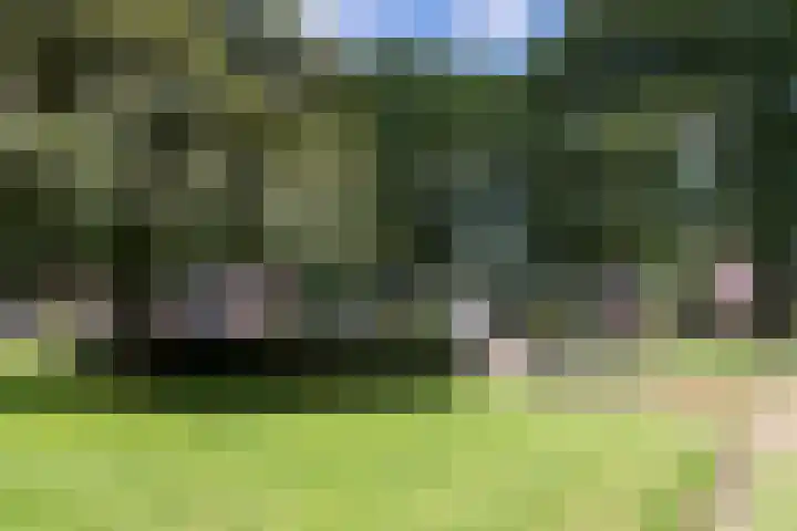 Rhenendael 127 Rhenen thumbnail 26