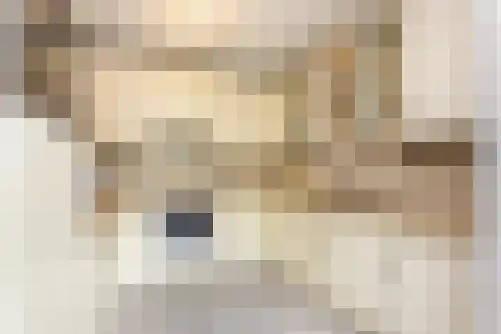 Rhenendael 140 Rhenen thumbnail 11