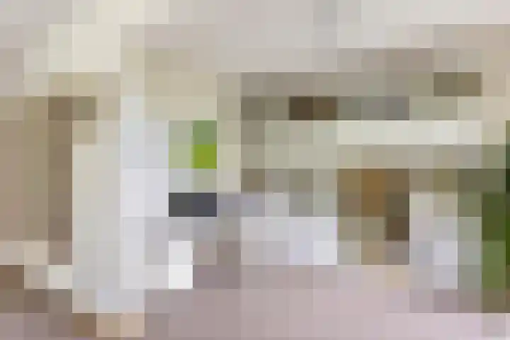Rhenendael 140 Rhenen thumbnail 12