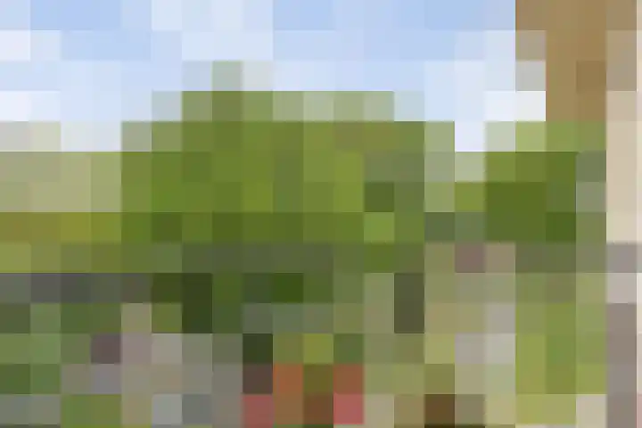 Rhenendael 140 Rhenen thumbnail 15