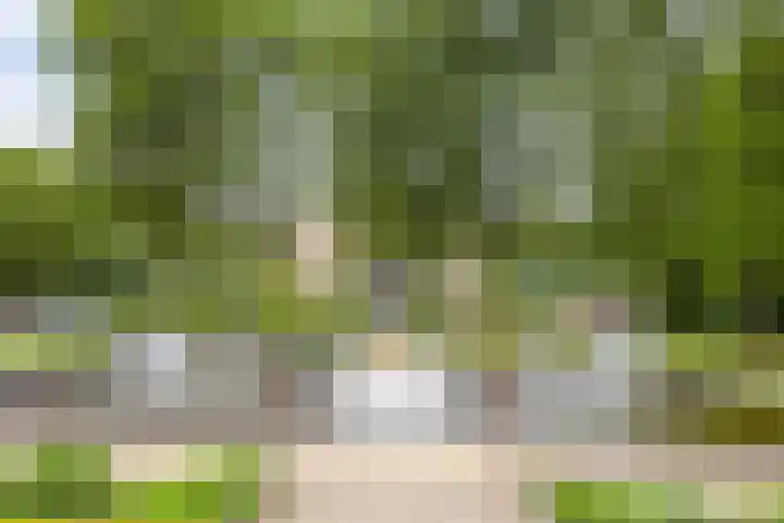 Rhenendael 140 Rhenen thumbnail 21