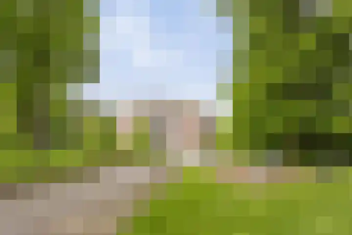 Rhenendael 140 Rhenen thumbnail 22