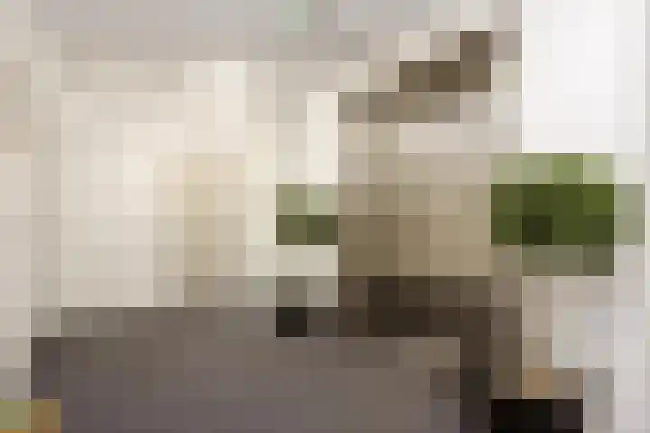 Rhenendael 140 Rhenen thumbnail 28