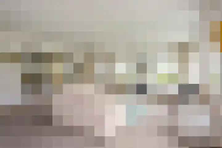 Rhenendael 140 Rhenen thumbnail 7