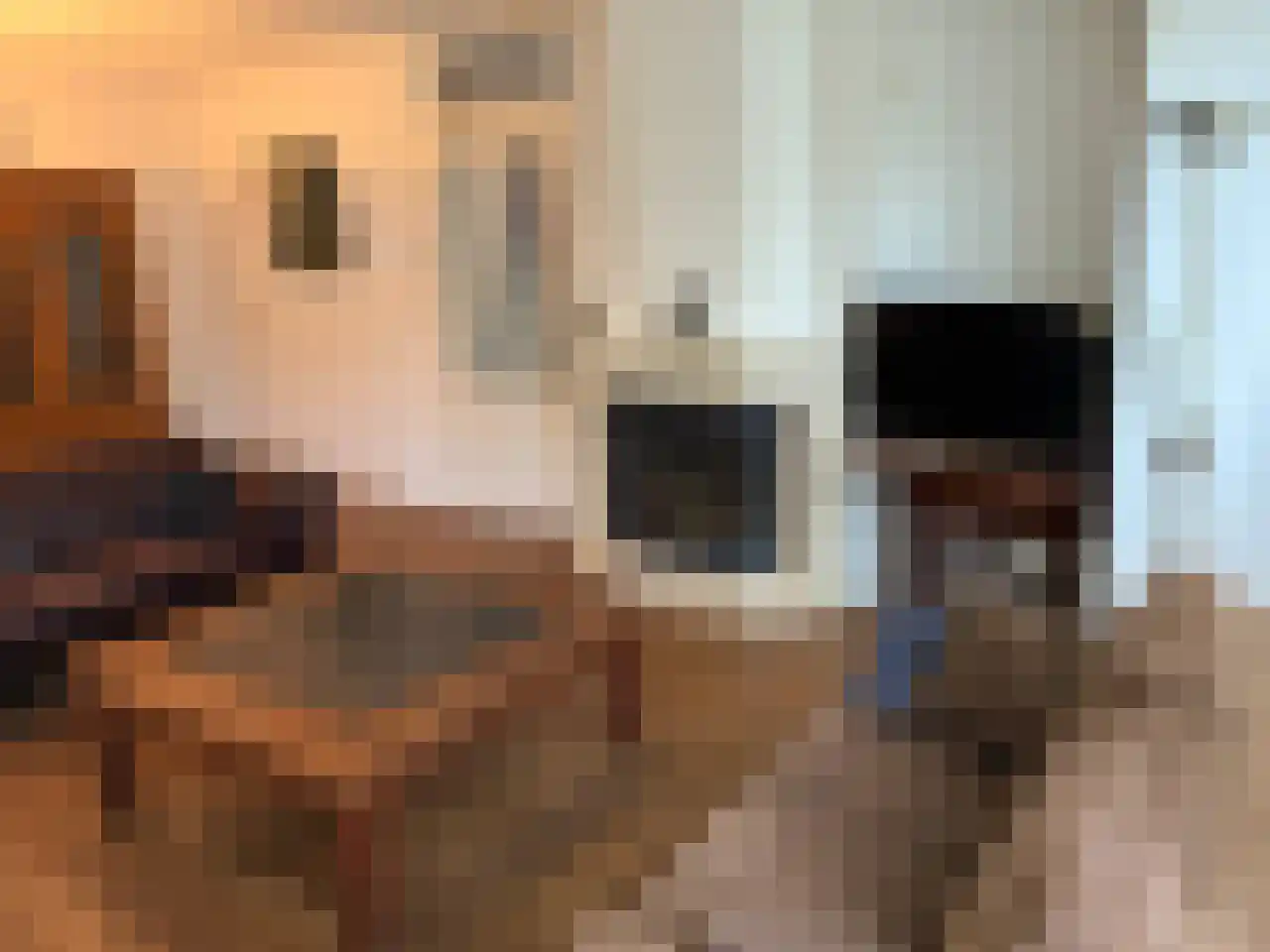 Rhenendael 155 Rhenen thumbnail 11