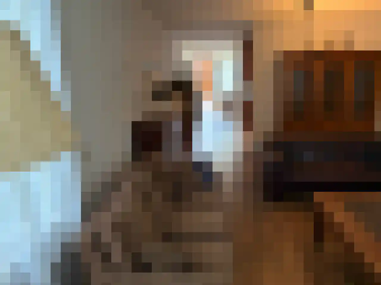 Rhenendael 155 Rhenen thumbnail 12
