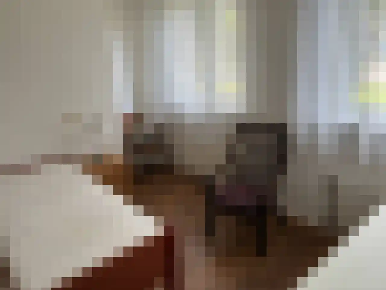 Rhenendael 155 Rhenen thumbnail 24