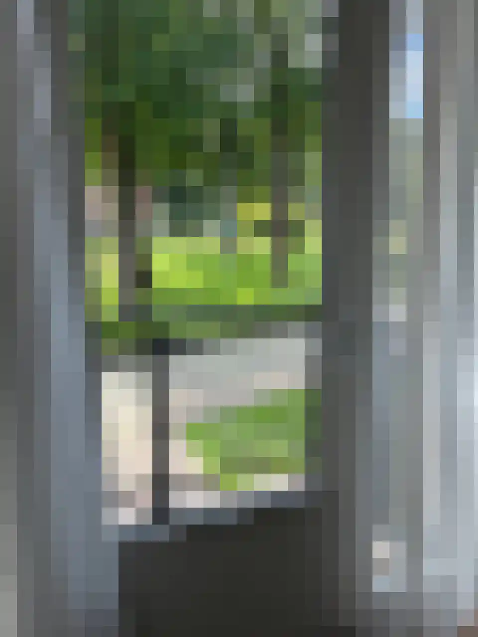 Rhenendael 155 Rhenen thumbnail 28