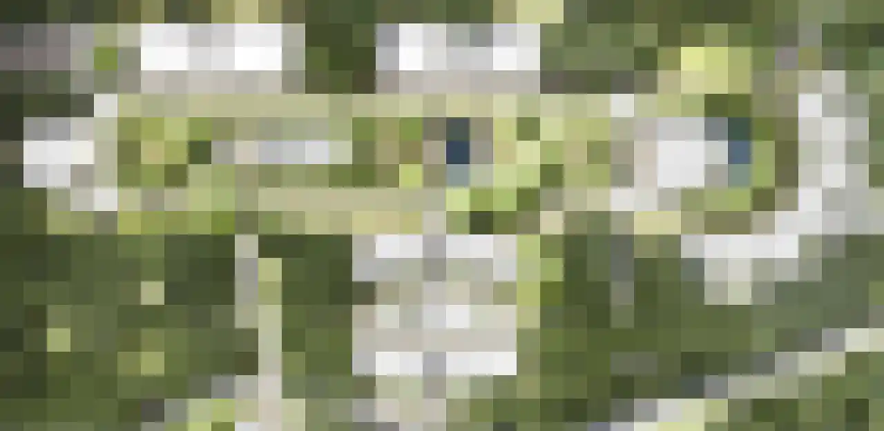 Rhenendael 155 Rhenen thumbnail 37