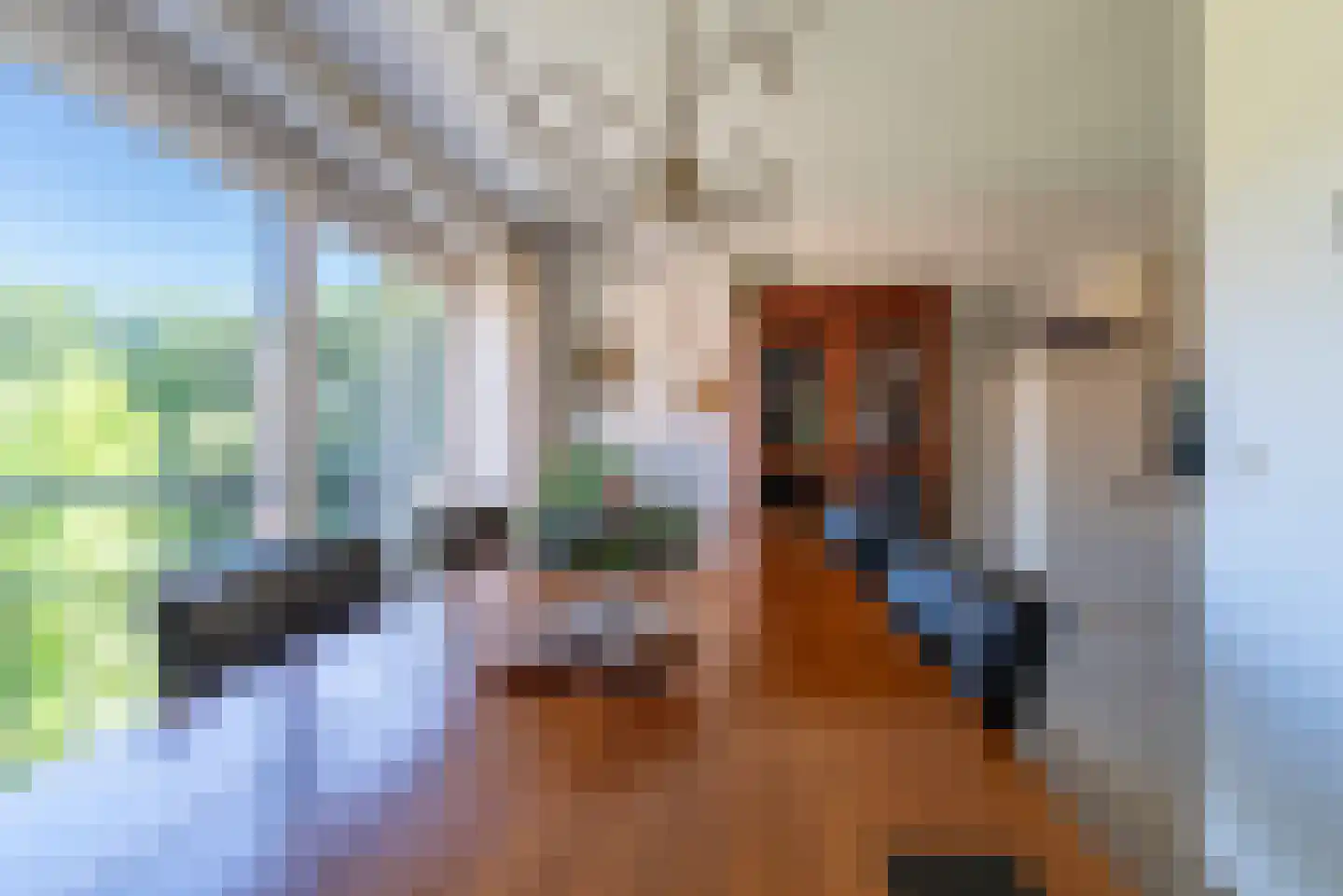 Rhenendael 21 Rhenen thumbnail 15