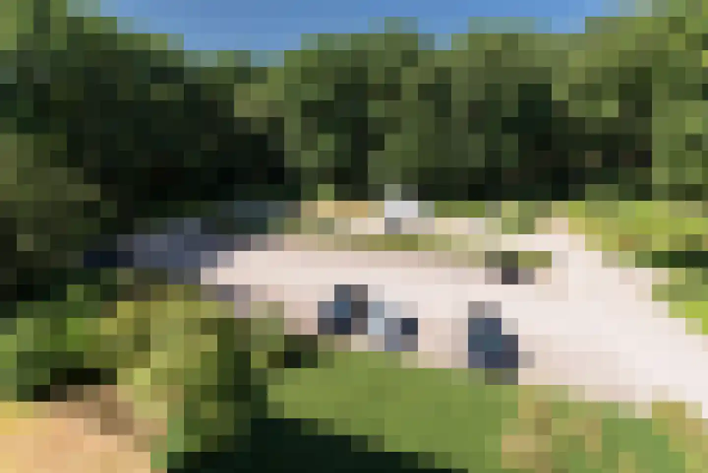 Rhenendael 21 Rhenen thumbnail 22