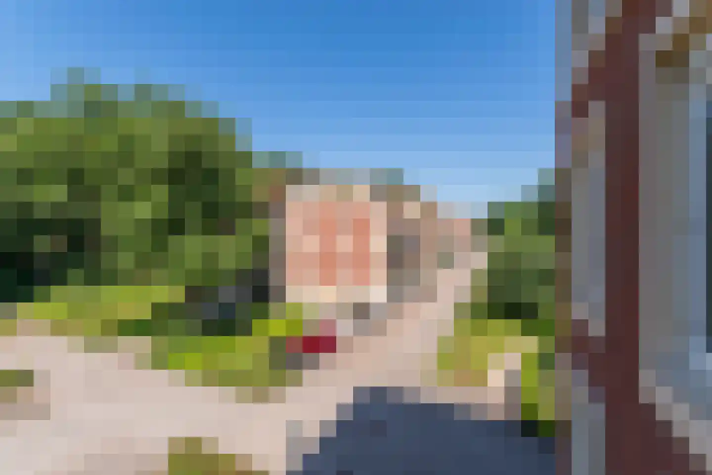 Rhenendael 21 Rhenen thumbnail 23